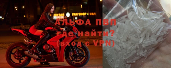 apvp Алзамай
