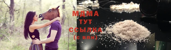 apvp Алзамай