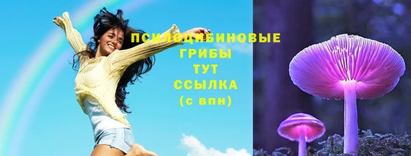 apvp Алзамай