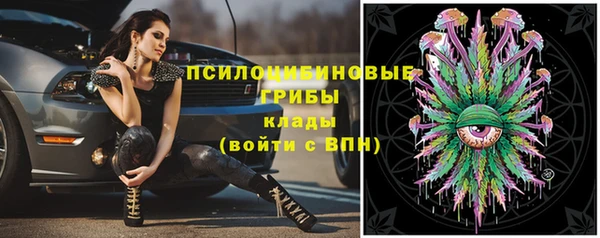 apvp Алзамай