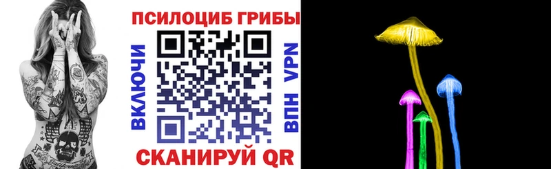 сколько стоит Бежецк Псилоцибиновые грибы мухоморы